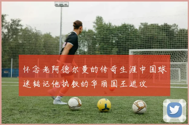 怀念老阿德尔曼的传奇生涯中国球迷铭记他执教的华丽国王进攻